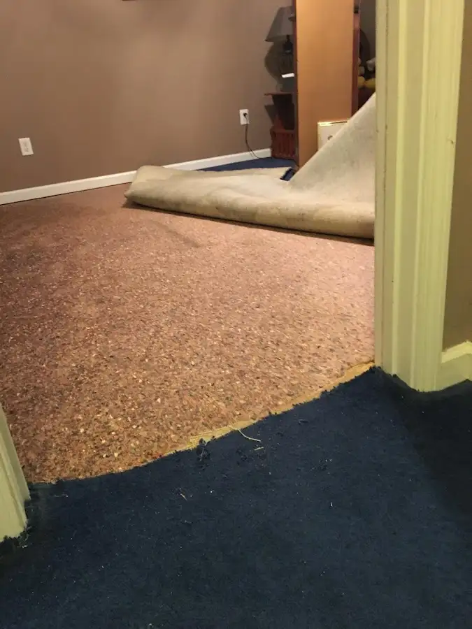 Carpet pad removal revealing water damage during Drying & Dehumidification in Hartselle