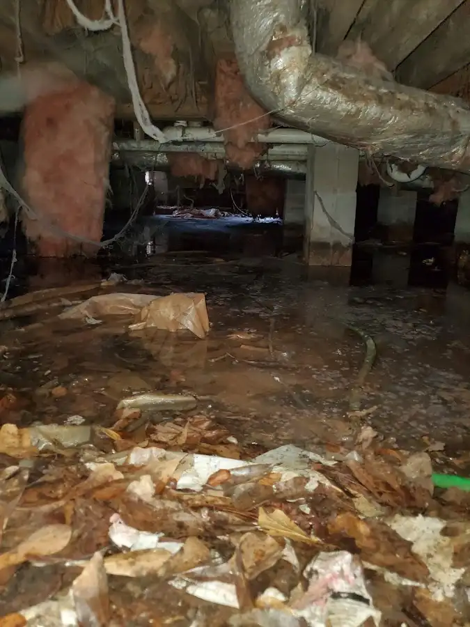 Crawl space flood assessment for Leak Detection & Repair in Hartselle